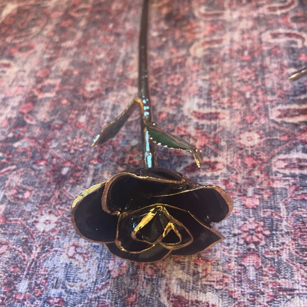 Roses๐น๐ฅ๐ - Picture 6 of 11